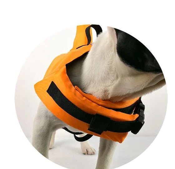 Pet Life Jacket and Dog Swimsuit for Safety