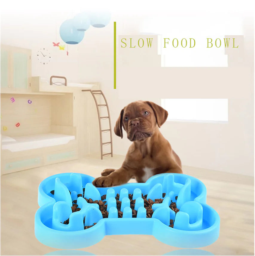 Slow Feed Dog Bowl with Color Box - Healthy and Fun