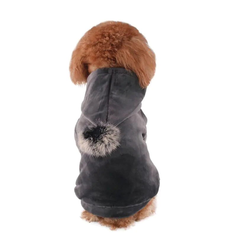 Pet Clothing for Dogs and Halloween Costumes for Cats
