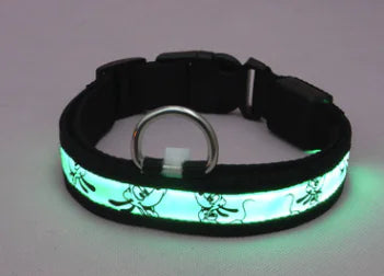 LED Dog Leash and Collar for Pets