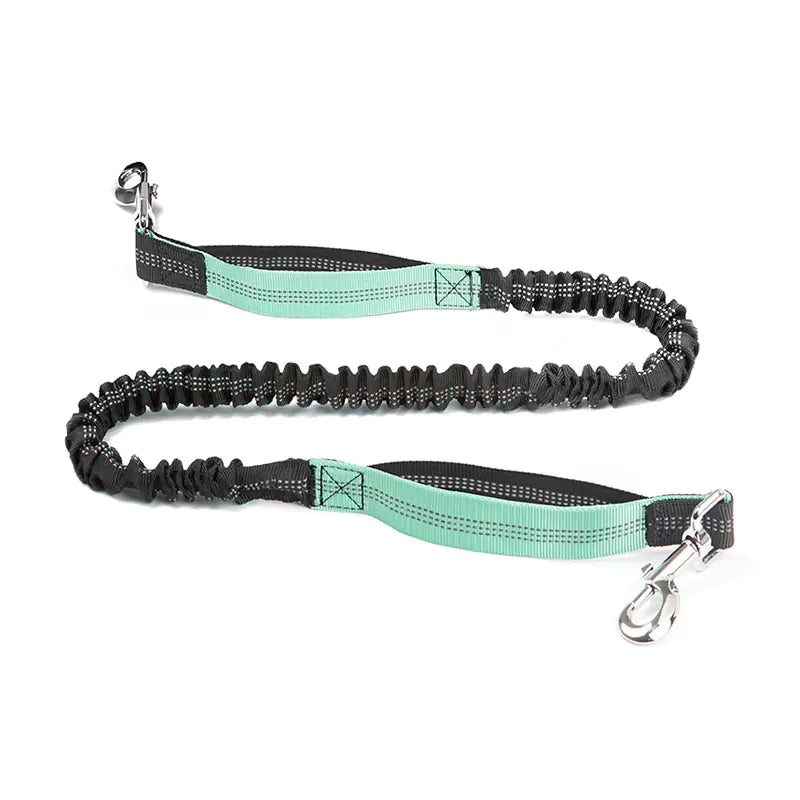 Cross-Border Pet Running Waist Bag with Leash
