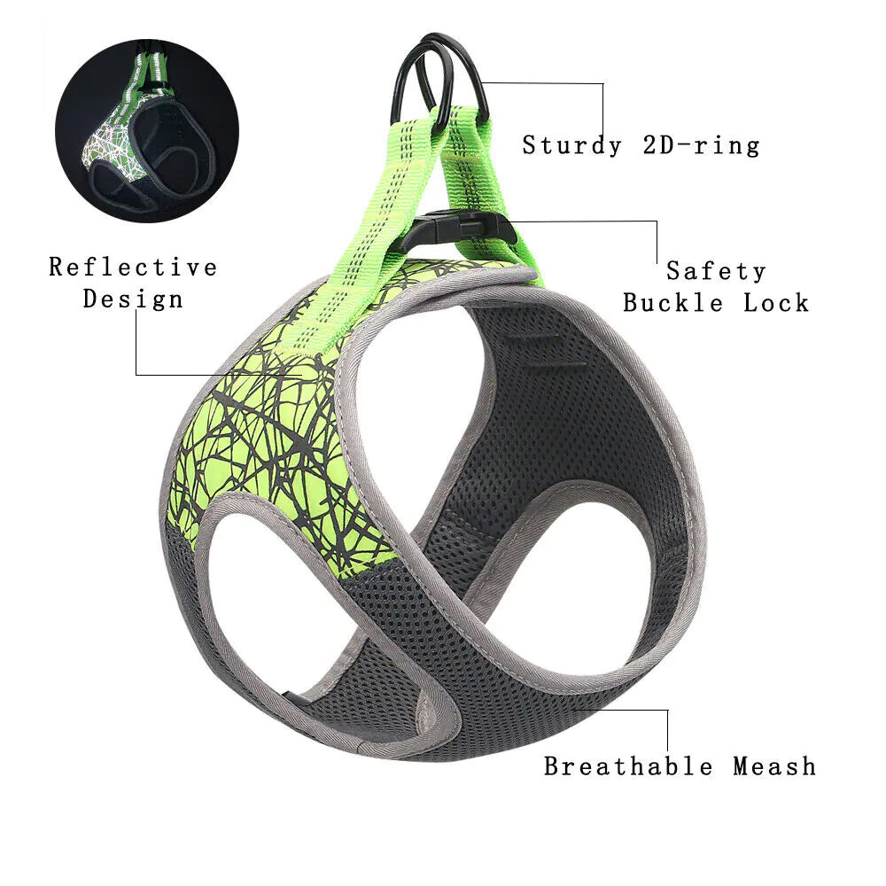 2020 Dog Harness Leash for Small Breeds, Reflective Nylon