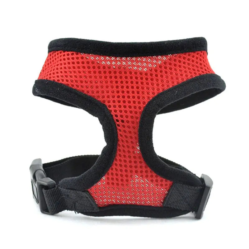 Padded Vest for Small Dogs and Cats