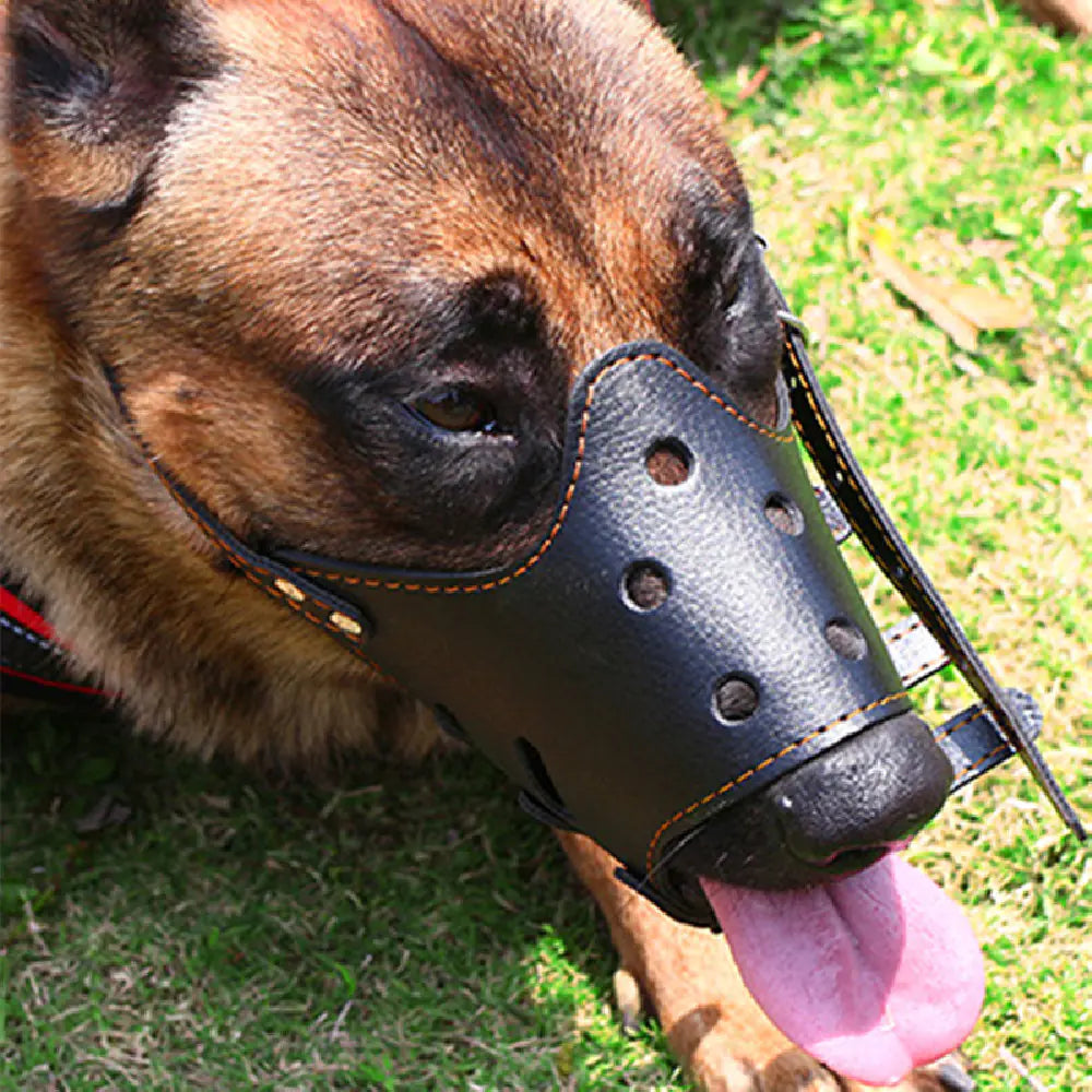 Adjustable Bite-Proof Muzzle for Small Dogs