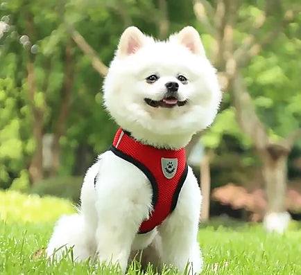 Reflective Pet Harness for Enhanced Safety