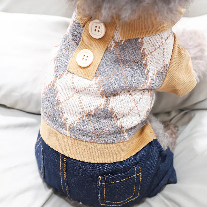 Winter Clothes for Dogs - Four-Legged Apparel