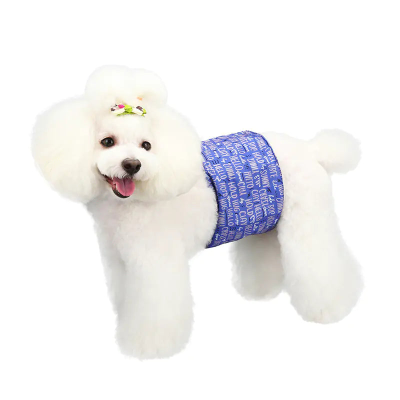 Waterproof Dog Diapers with Absorbent Design