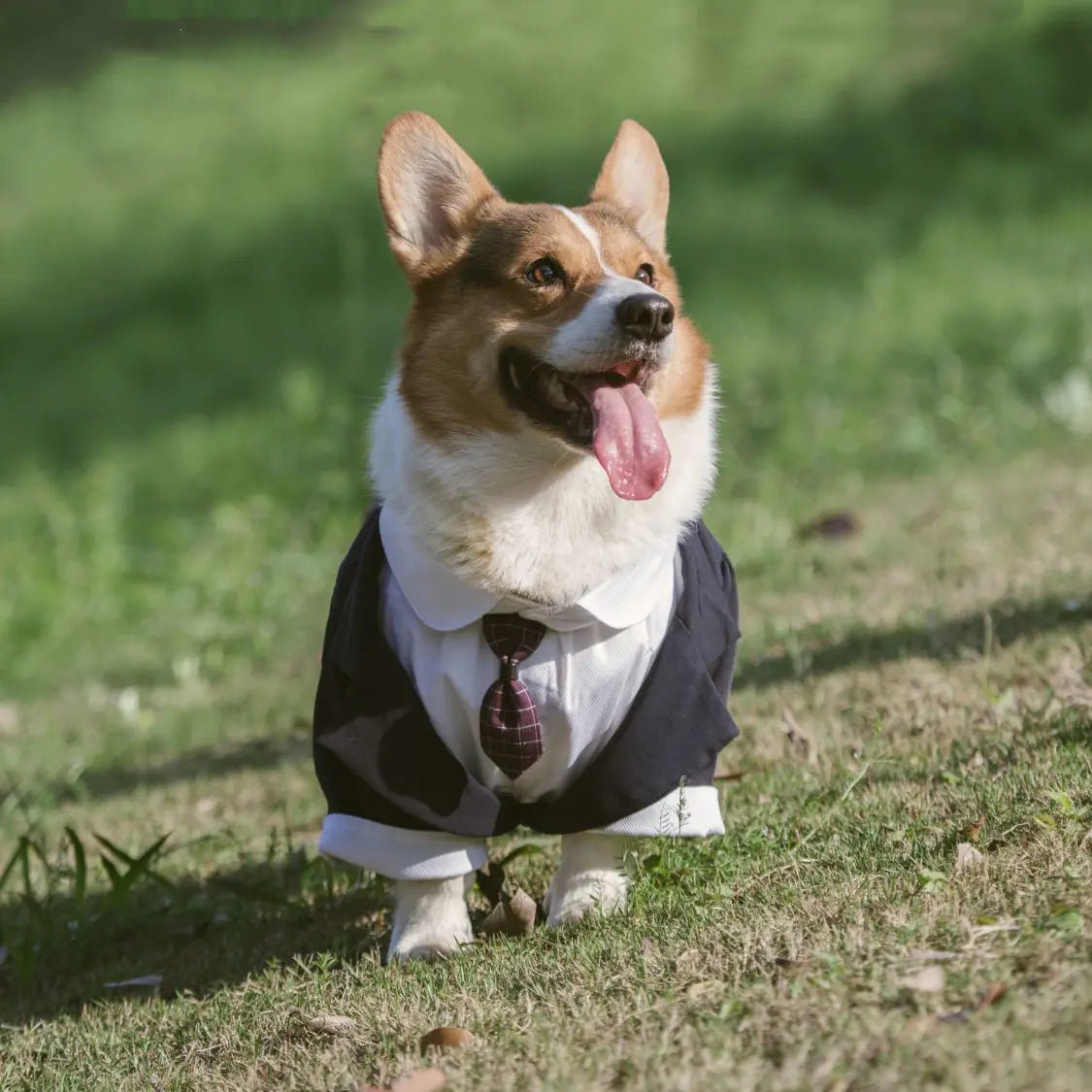 Pet Suit Tuxedo Dress for Dogs