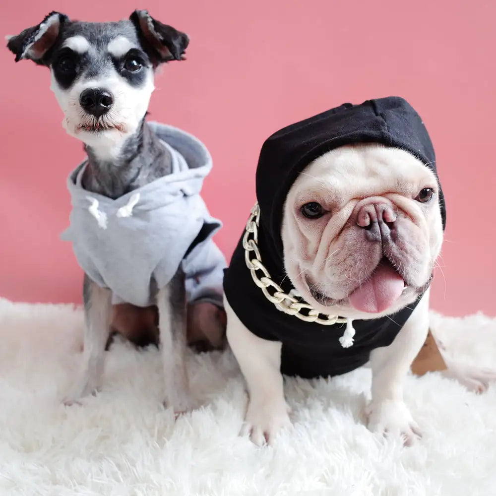 Hooded Summer Vest for Dogs and Cats - Fadou Schnauzer