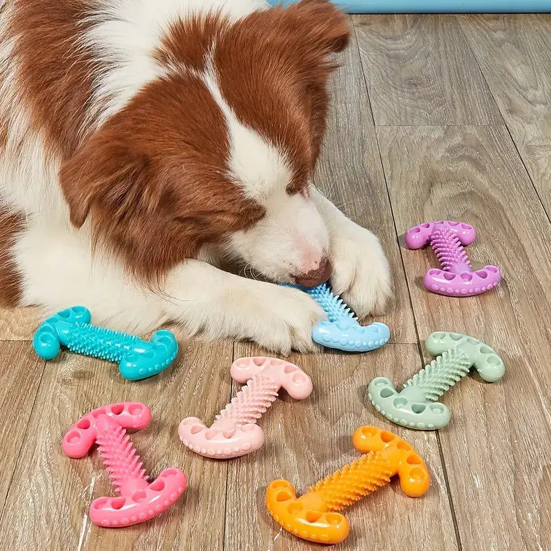 Bite Resistant Dog Bone Teeth Grinding Educational Toy