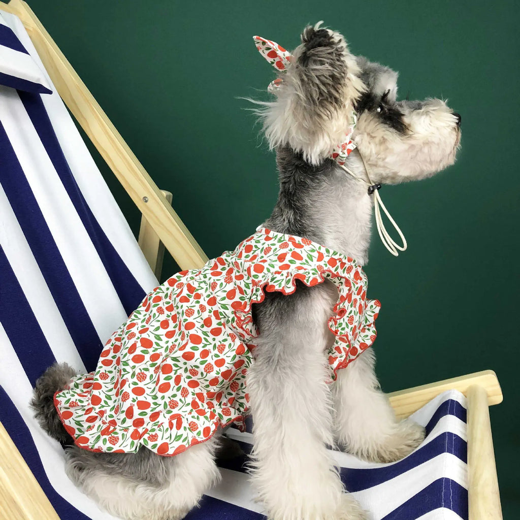 Summer Lightweight Dress for Small Dogs