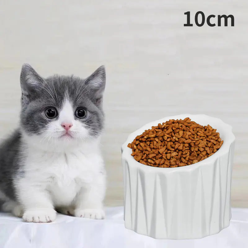 Ceramic Cat Bowl with Elevated Design for Comfort
