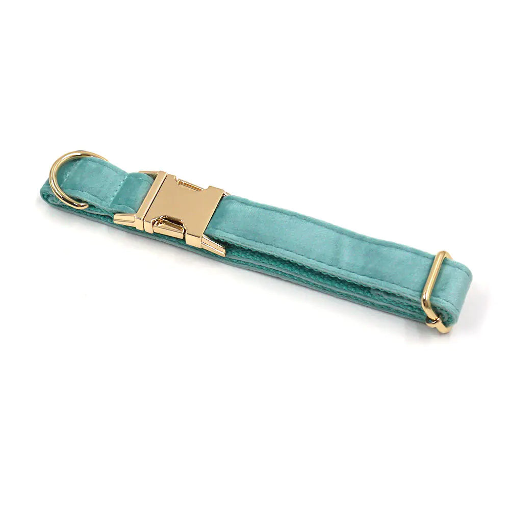 New Lake Green Velvet Pet Collar with Gold Buckle