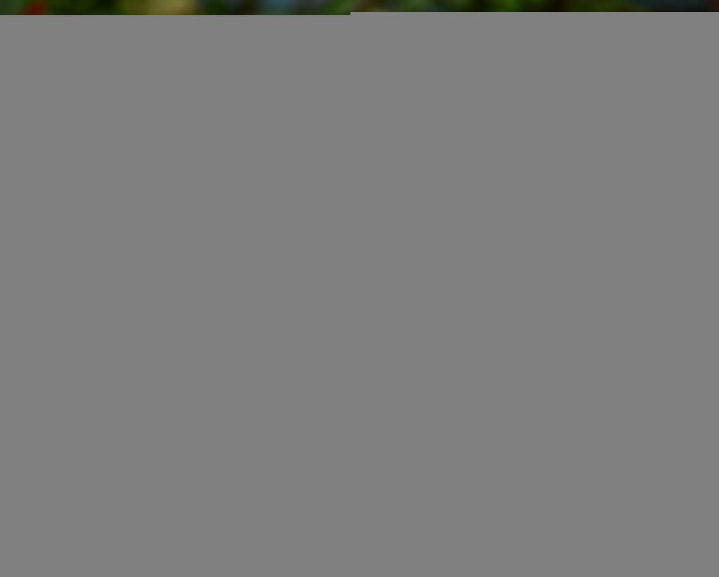 Thickened Double-Layer PVC Pet Raincoat