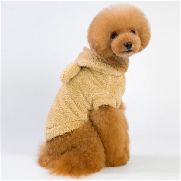 Dog/Cat Apparel and Accessories