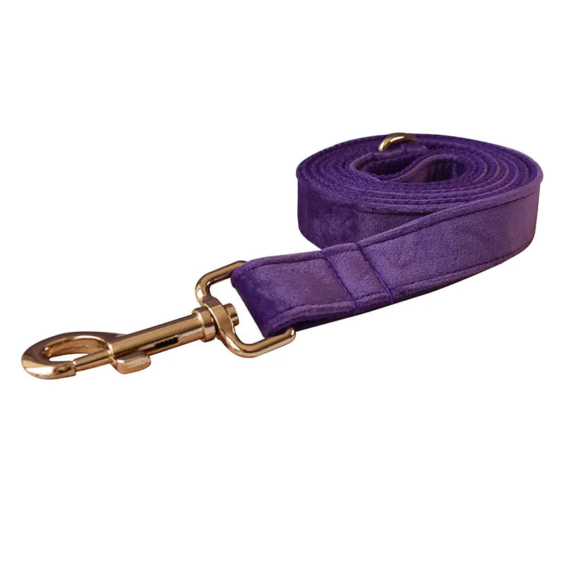 Alloy Carabiner Dog Leash and Pet Collar Combo