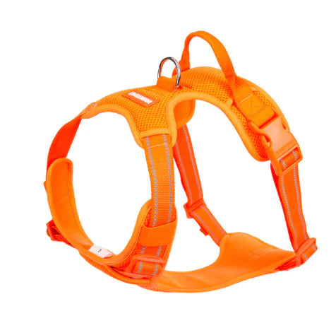 Teddy's Fund Fur Vest Chest Strap