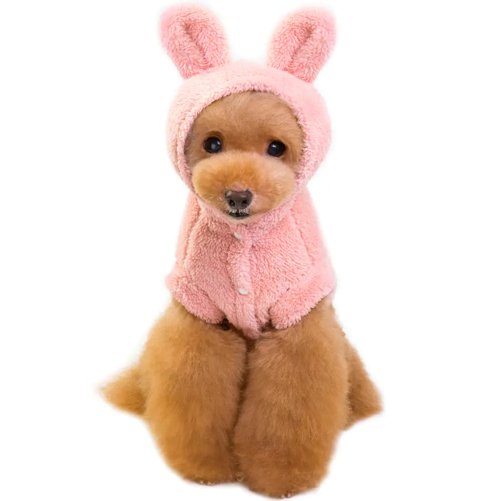 Dog/Cat Apparel and Accessories