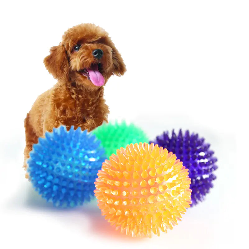 Transparent Elastic Dog Toothbrush Massage Ball
