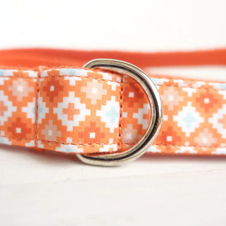 Thick Leash for Medium to Large Dogs