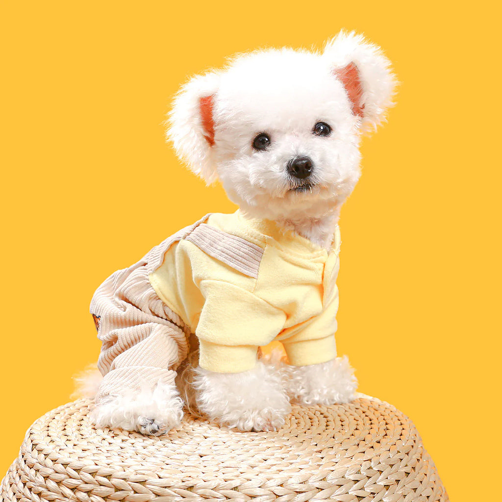 Casual Macaron Hooded Sweatshirt for Pets