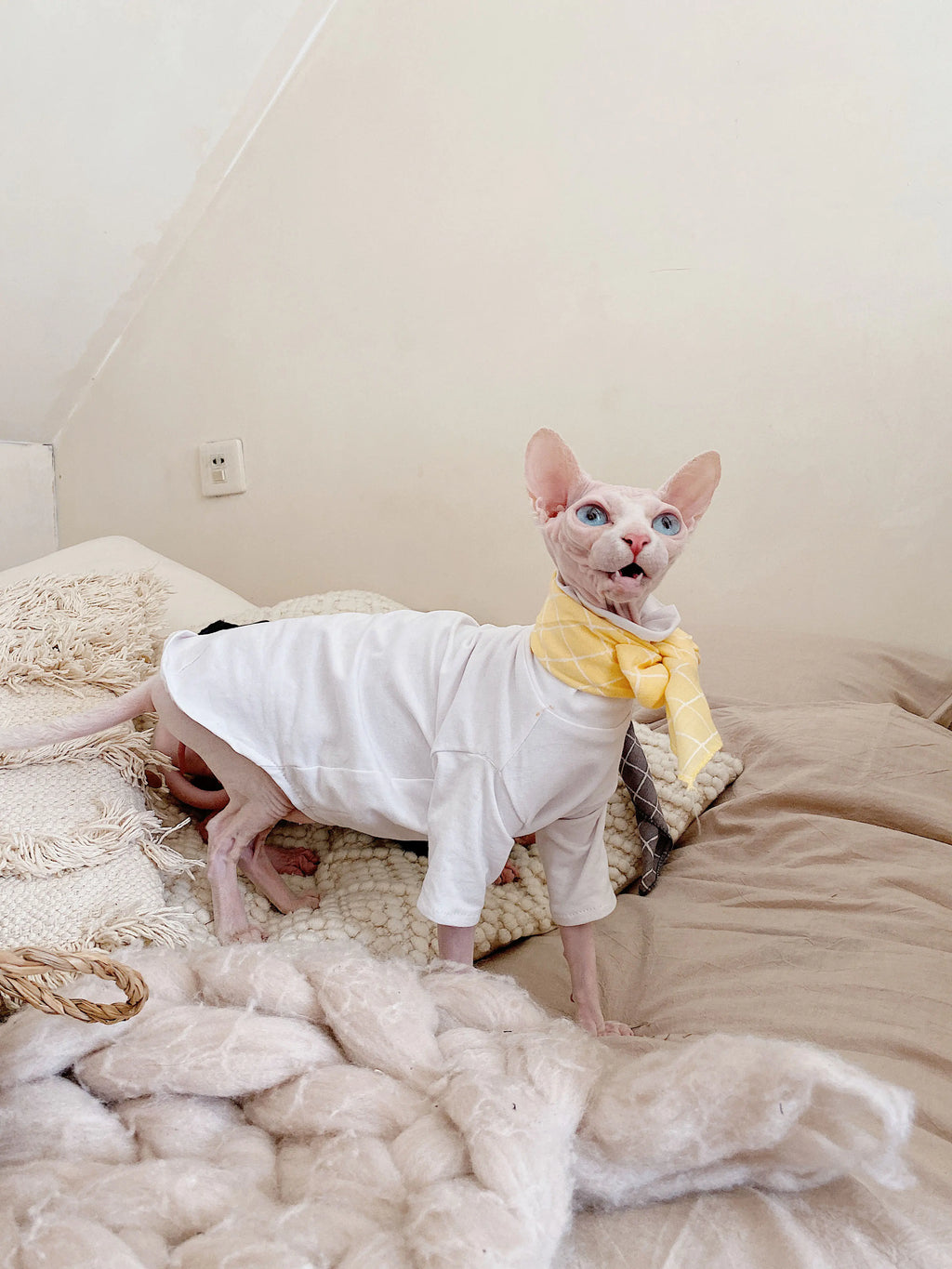 Sphynx Cotton Allergy-Free Spring Summer T-Shirt