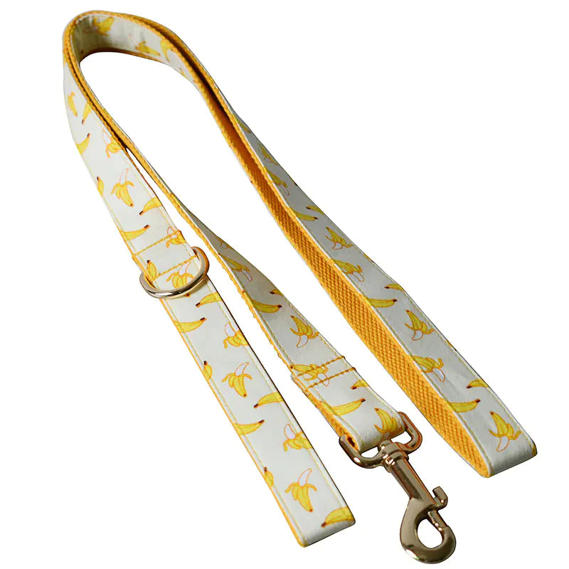 Gold Metal Buckle Tow Rope Collar for Pets
