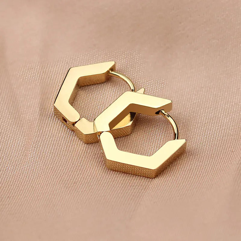 Geometric Titanium Steel Women's Earrings for Daily Wear