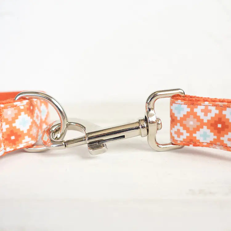 Thick Leash for Medium to Large Dogs