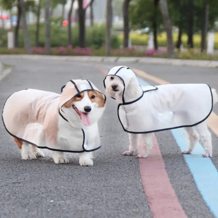 Dog Raincoat for Small Breeds - In Stock