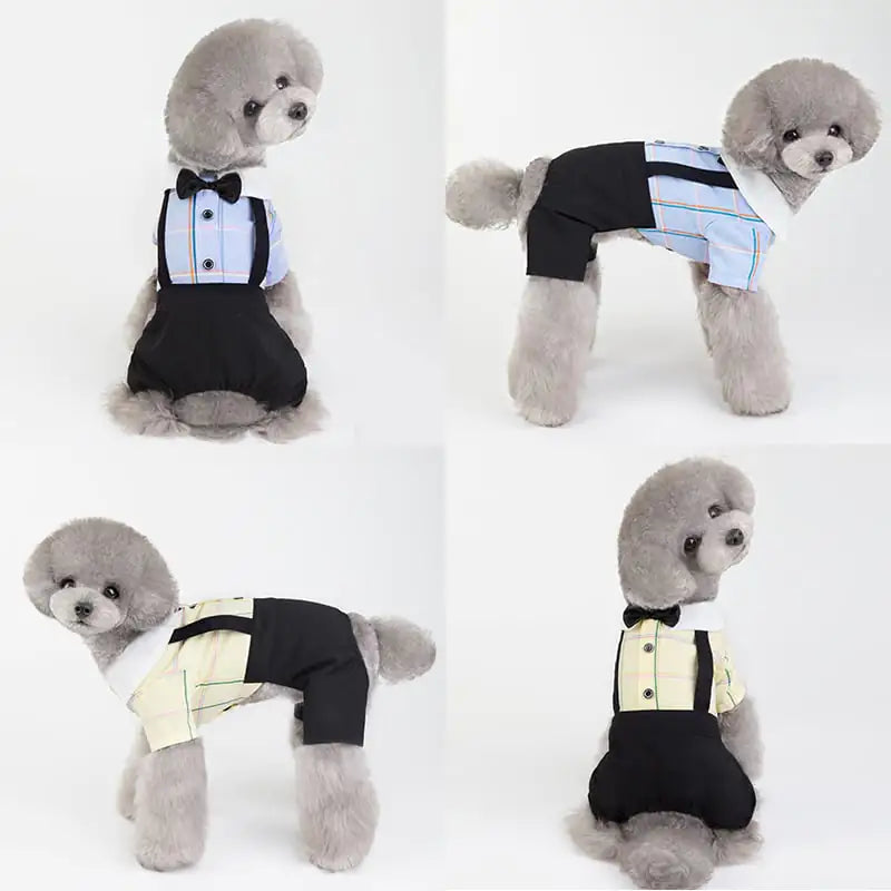 New Spring/Summer Dog Couple Outfits for Students