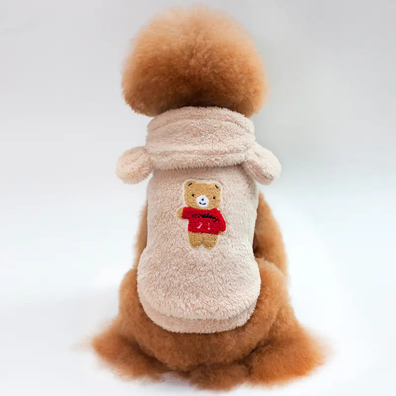 Teddy Bichon Small Dog Apparel