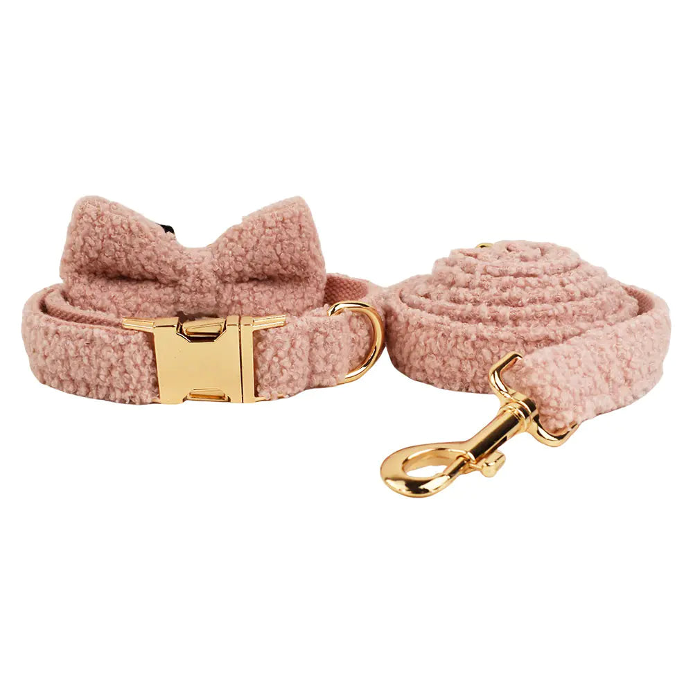 Dog Collar with Hand Holding Rope for Pets