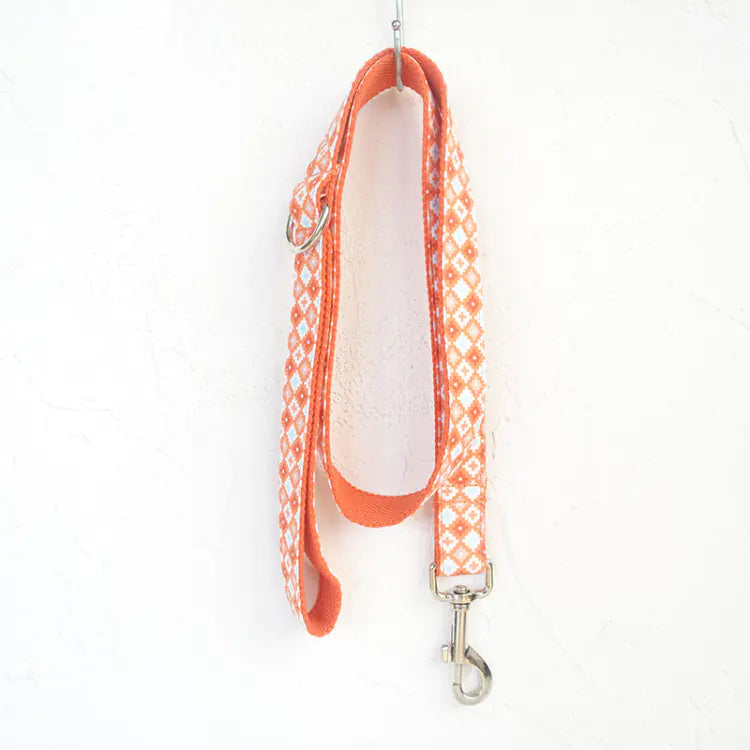Thick Leash for Medium to Large Dogs