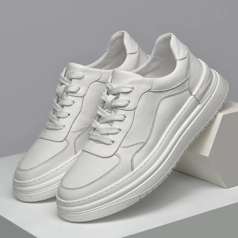 Men's Casual Dad Shoes - Breathable Mesh Design