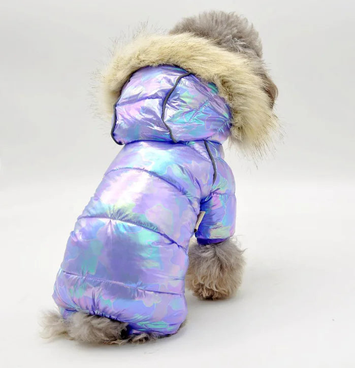 Colorful Dog Sweater with Buttoned Hat for Pets