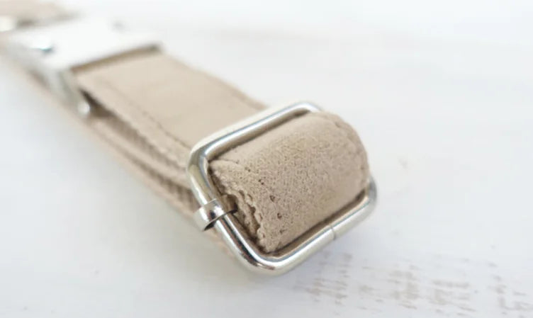 Creative Design Teddy Dog Collar - Eco-Friendly Pet Gear