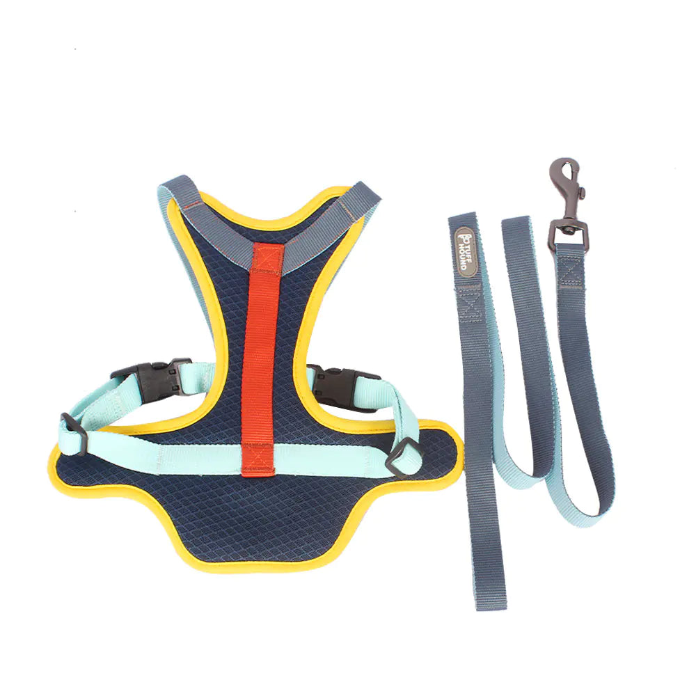 Colorful Harness and Leash Set for Pets