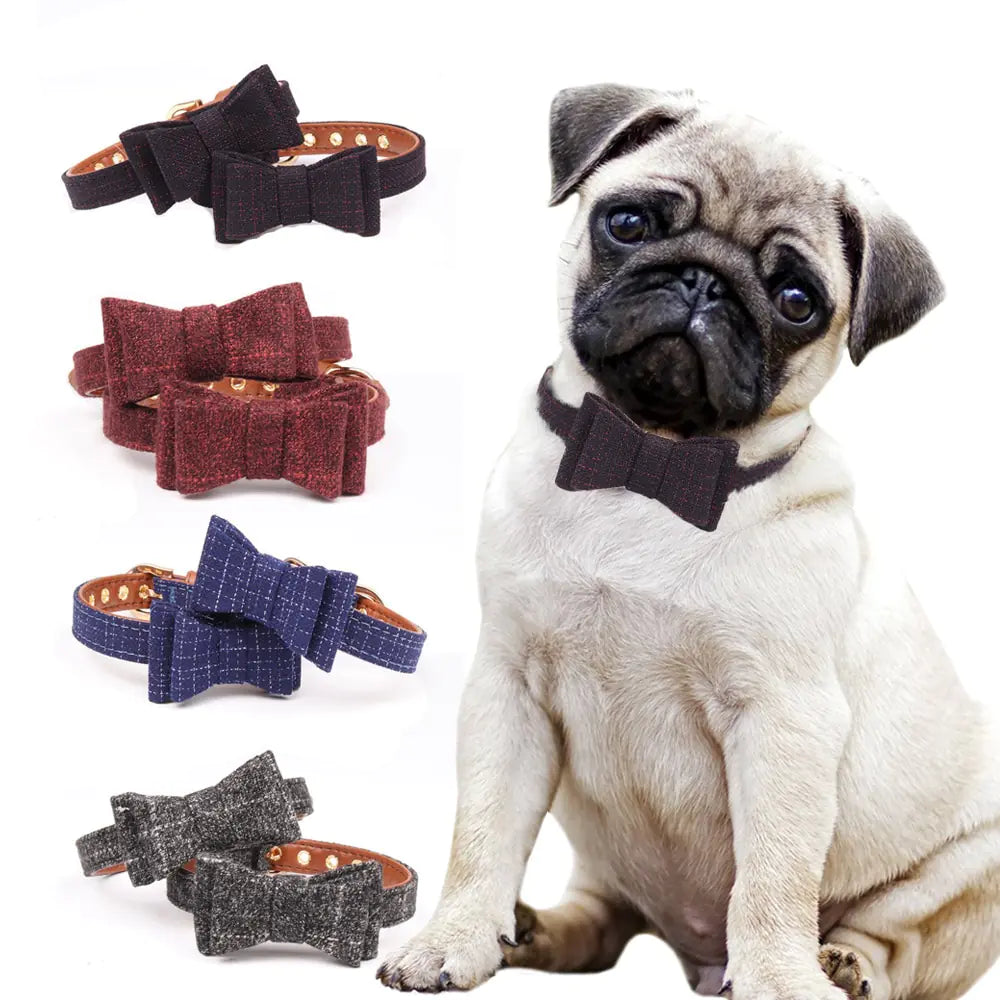 Bow Pet Collar