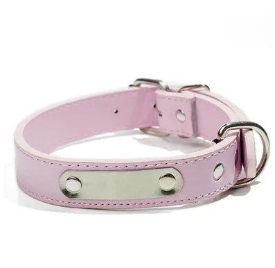 Custom Dog Tag with PU Collar for Pets