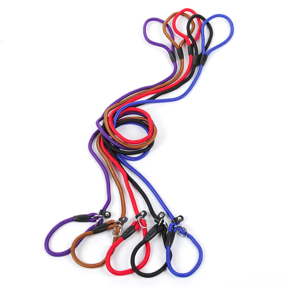 Dog Leash and Harness for Pets - New Style