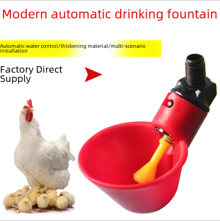 Chick Watering Bowl for Quail and Pigeon Wholesale