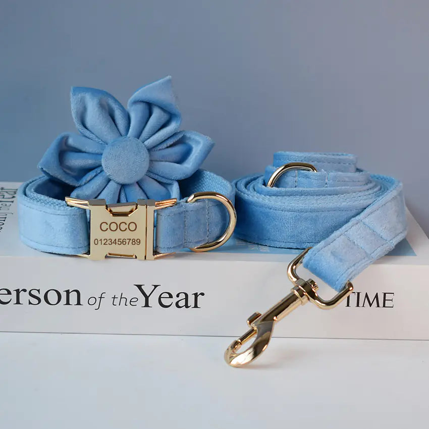 Blue Velvet Dog Collar with Rope for Pets