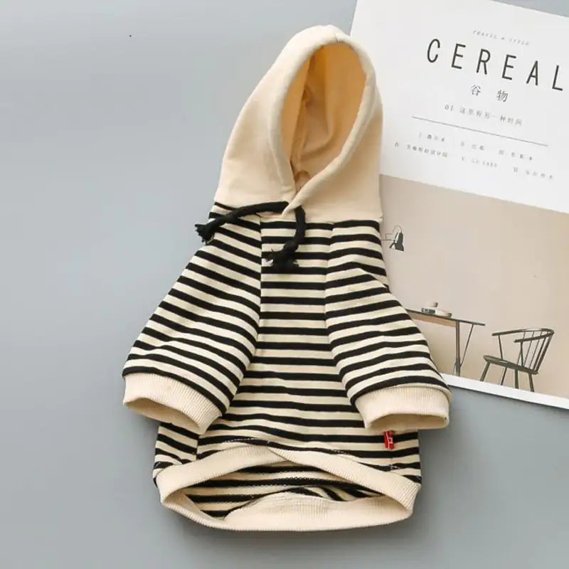 Teddy Dog Terry Sweater - Fashion for Small Dogs