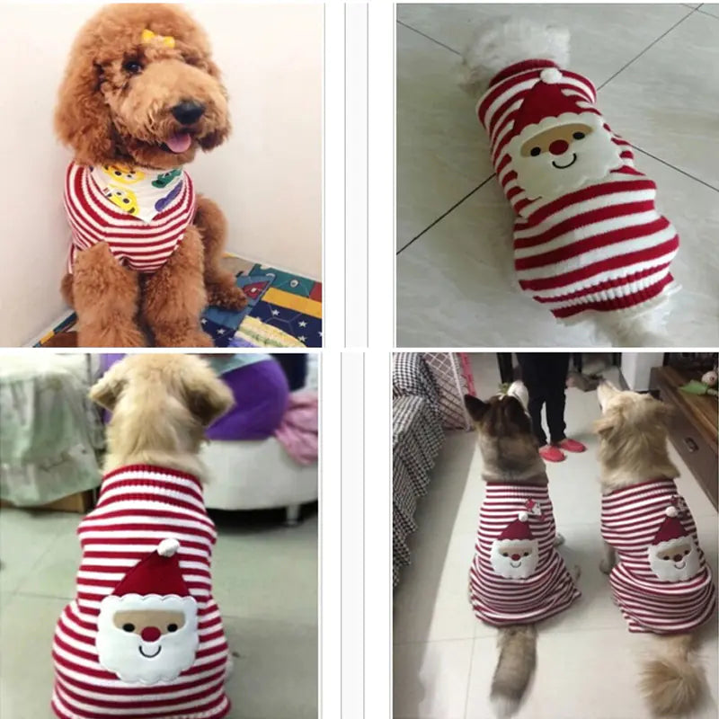 Christmas Sweater for Small, Medium, and Large Dogs
