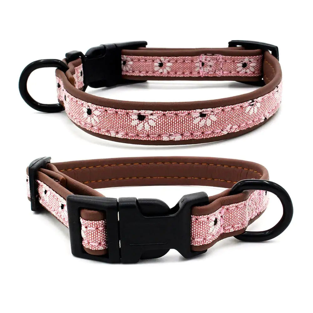 Plastic Buckle Dog Collar - Pet Supplies for Dogs