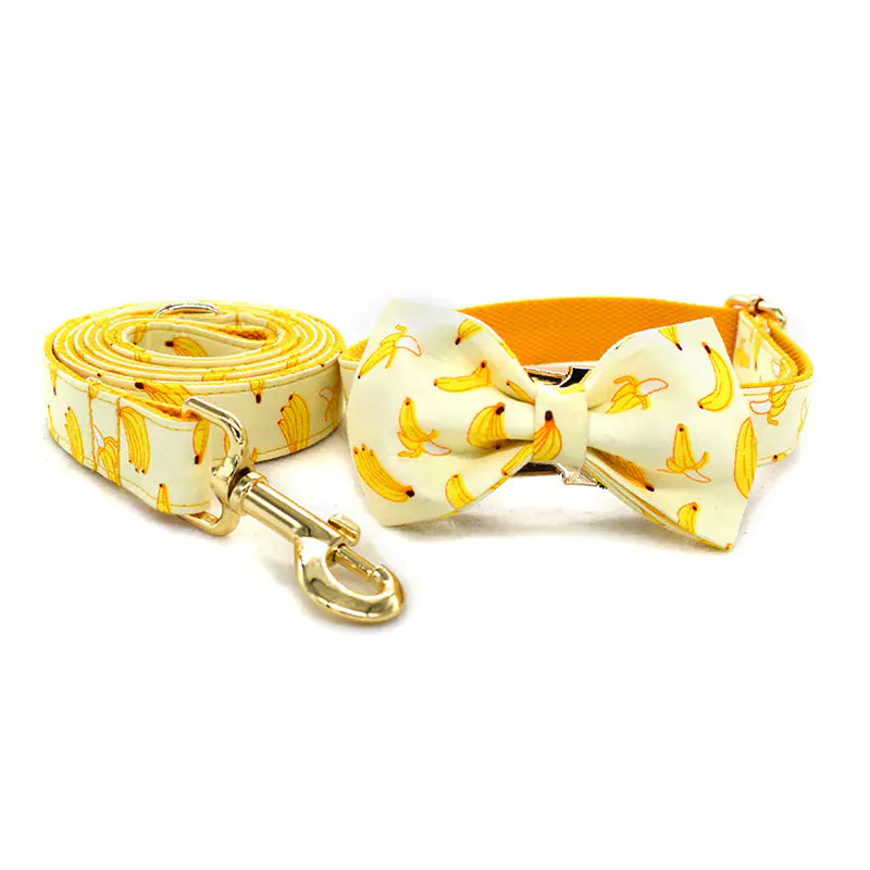 Gold Metal Buckle Tow Rope Collar for Pets