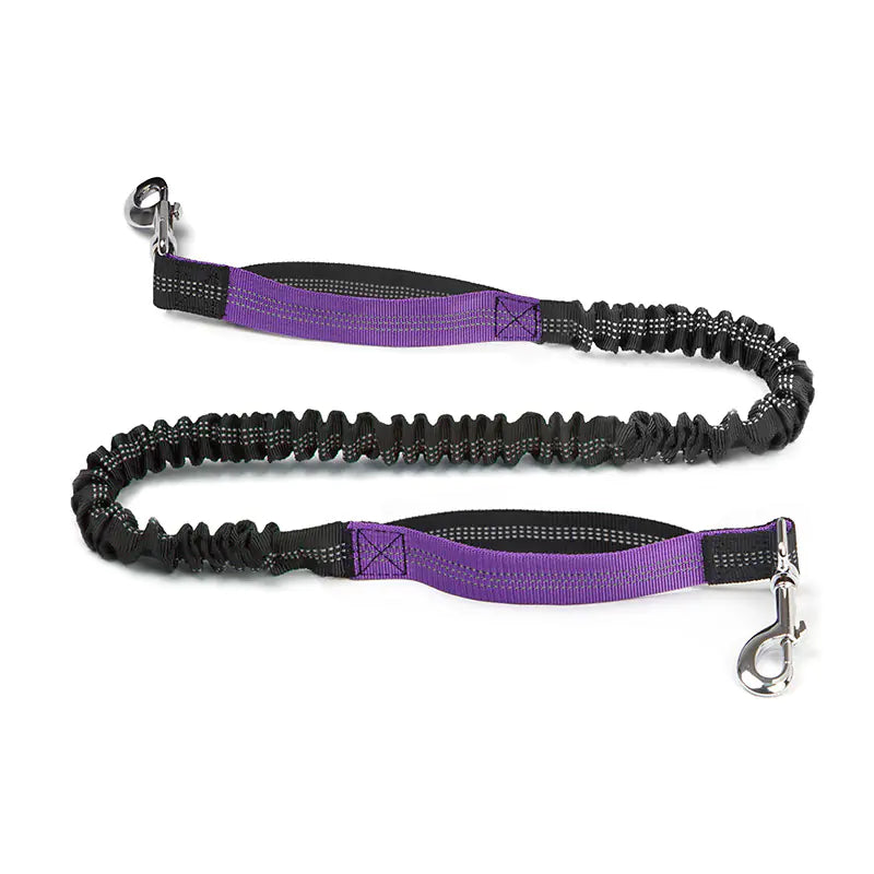 Cross-Border Pet Running Waist Bag with Leash