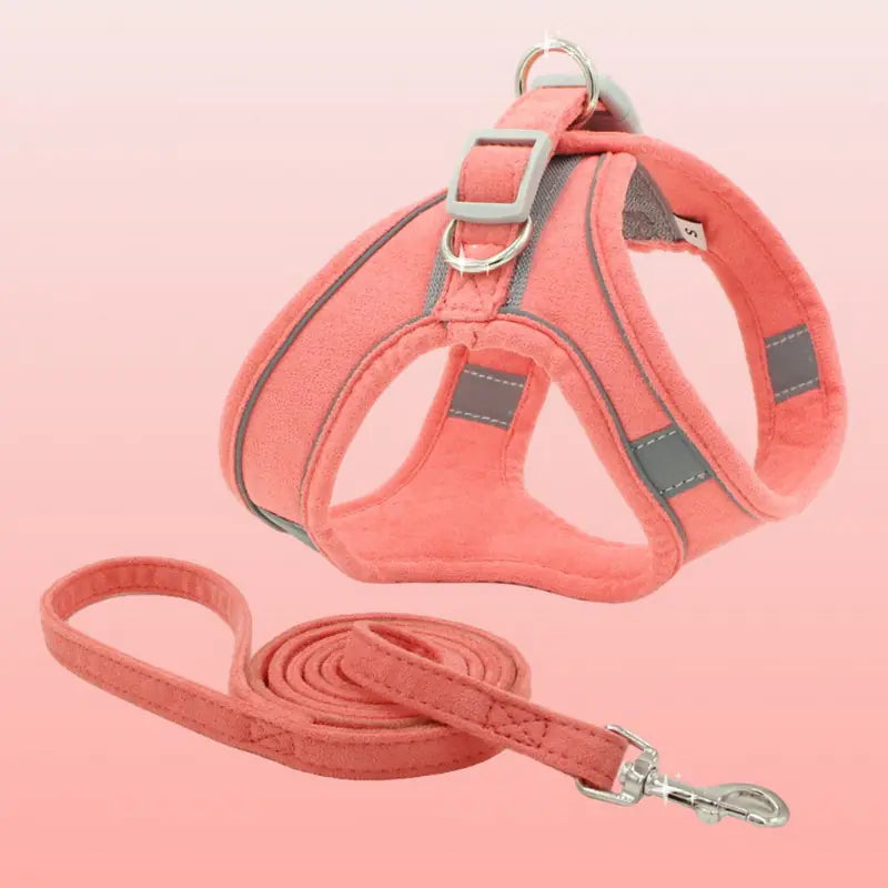 Cat Leash Vest Harness for Comfortable Walks