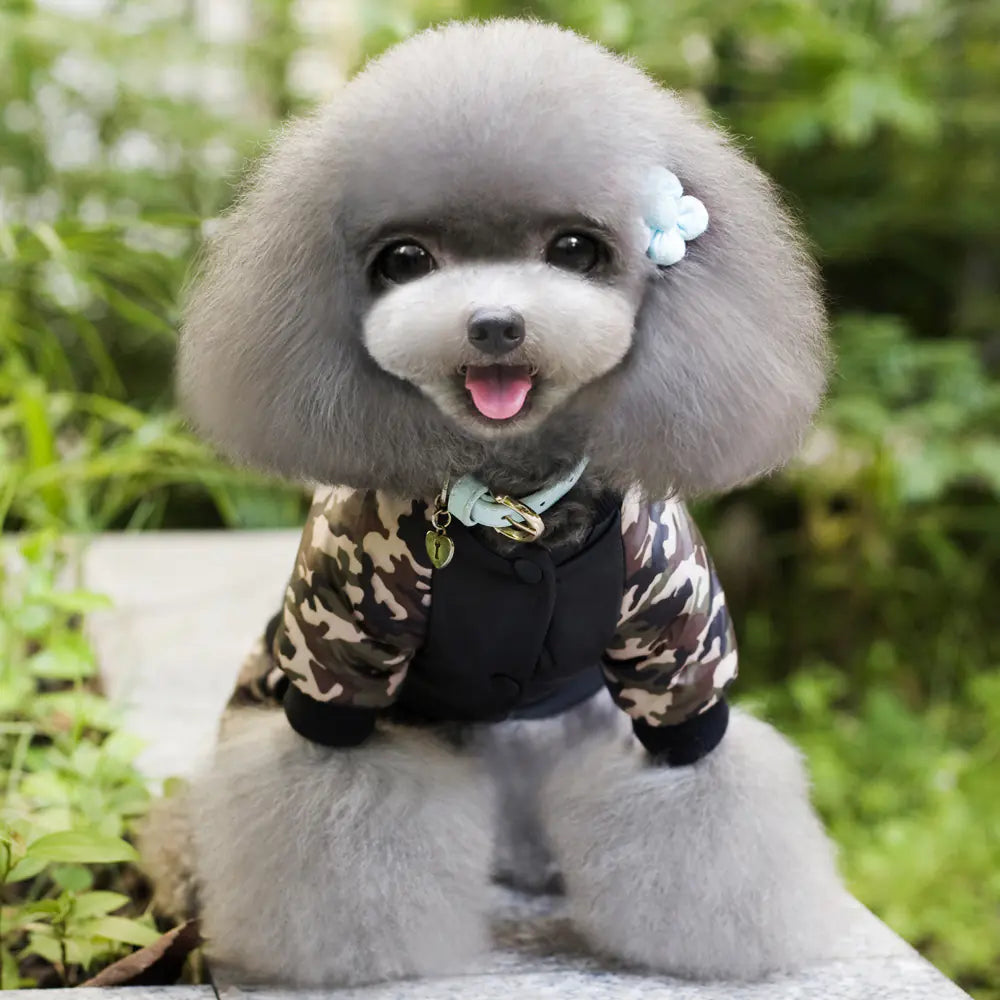 Camouflage FBI Pet Jumpsuit for Dogs (Chihuahua, Teddy)